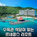 돌고래 보조풀장 | 미우새 오키나와 수족관식당 있는 르네상스 리조트 위치·객실가격·시설 총정리
