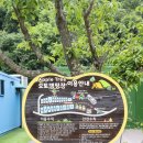 구안리농장 | [충북체험농장] 음성농원 캠핑 카페 아이와 힐링 명소