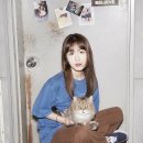 치즈CHEEZE 콘서트 이미지