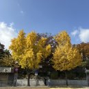 손으로 전해오는 아름다운 우리 매듭 | 허파에 바람 빼기 3 - 파주, 전주, 서울 빠르게 치고 빠지기