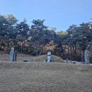 원주김씨 묘역 이미지