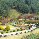 팝콘하우스 이미지