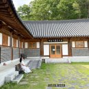 경상도 여행 당일치기 영주 선비촌 무섬마을 외나무다리