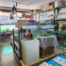 홍주수족관 이미지