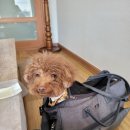 고래등횟집 이미지