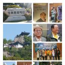 동백 태양광발전소 이미지