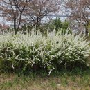 금강스파 이미지