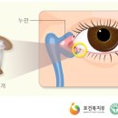 더참안과의원 이미지