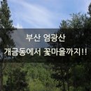 꽃마을 작은도서관 | 엄광산 부산 등산로 개금동에서 꽃마을까지!!