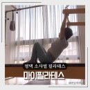 소사벌점핑다이어트 | 평택 소사벌 필라테스 복부비만 척추측만개선 재활 PT 마이필라테스