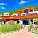 모토리스트 이미지