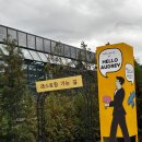 석운로202번길 | 분당 아기랑 갈만한 레스토랑_헬로오드리 후기