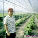 윤영배 농장 Daum카페