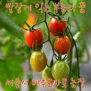 부농푸드