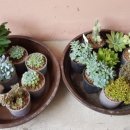 춘포지역아동센터 이미지