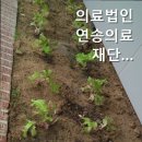 의료법인 연송의료재단 이미지