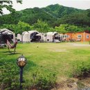 영월 스타 글램핑 이미지