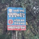 설천면055 | 남해아이랑가볼만한곳 4월 남해가볼만한곳 남해상상양떼목장편백숲 친구와 다녀온 후기