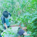 흥선농장 이미지