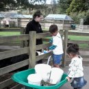 뉴질랜드 한국전 참 이미지