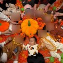 신세계 태권도 | 6개월 아기 문화센터, 신세계아카데미 천안아산점 반짝반짝 똘망이(4~10개월) 한 달 수강 후기