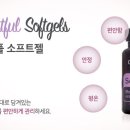 레스트풀(restful)