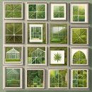 은유약국 | 골담초팅크 자연에서 찾은 건강의 비밀