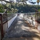 부산초등학교 이미지