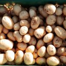 우애농장 이미지