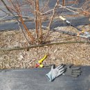 하은농장 이미지