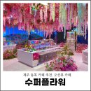 만나수퍼 | 제주 동쪽 카페 추천, 오션뷰 카페 수퍼플라워