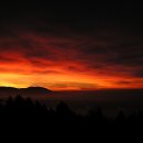 광평초등학교 병설유치원 이미지