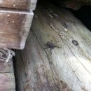 원목농장 이미지