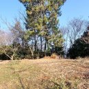 일근농장 이미지