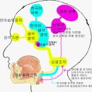 '영절하' vs 운동맨의 '최선영어습득법' 2편 (더 구체적인 부연설명) 이미지