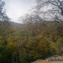 보령-미산-2 이미지