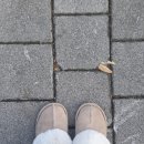 (버스)롯데시네마 | <윗집 사람들> 후기 ㅣ 롯데시네마 도곡