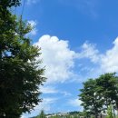안꼬네일# 이미지