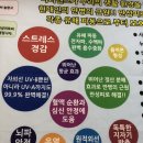 마리엔스 Daum카페