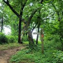 봉수목장 이미지