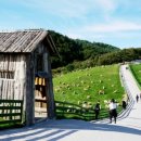 흔들목장 이미지