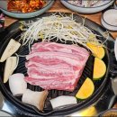 파누스 이미지