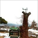 채림농장 이미지