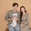 항상봄처럼 스튜디오 네이버블로그