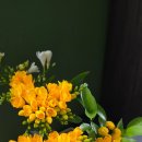 송은농장 이미지