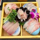 강남대로A | 회식장소로 좋은 강남 횟집 추천 만복회해산물 오마카세 A 코스 후기