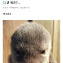 냠냠쩝쩝 이미지