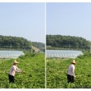 최용순농장 이미지