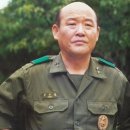 세계덴트칼라시스템