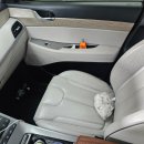 성심크리닝 | 🚘 강서구 실내크리닝 디테일링샵Y 강서양천점♡